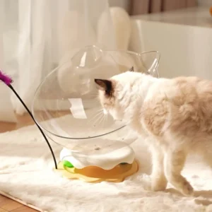 New Space Cabin Cat Nest Transparent Acrylic Cat Nests – A Fun and Cozy Retreat for Your Feline Friend